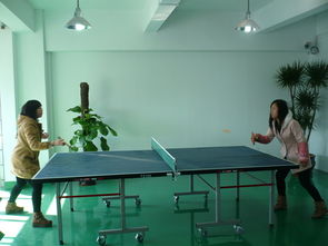 新天會展 專業設計賦能，打造卓越展覽會議體驗